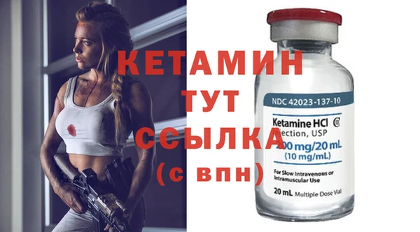 сатива Волосово
