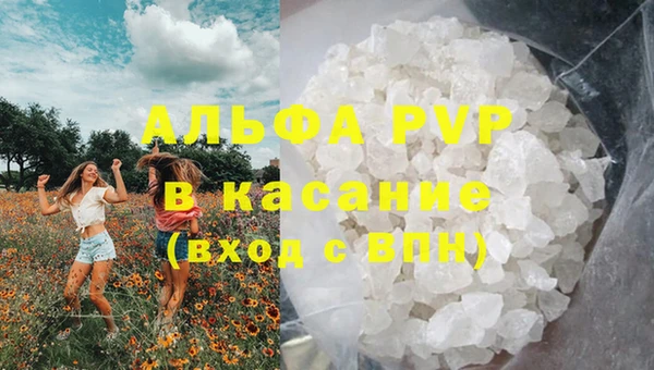 сатива Волосово