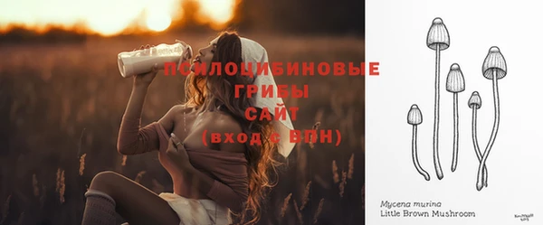 сатива Волосово