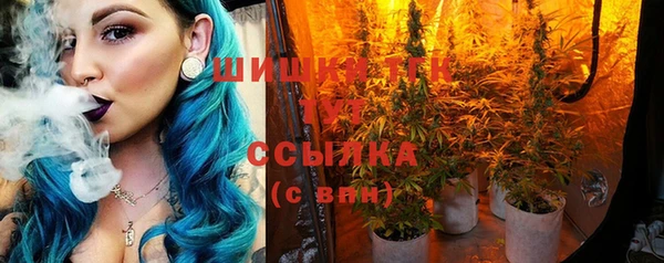 сатива Волосово
