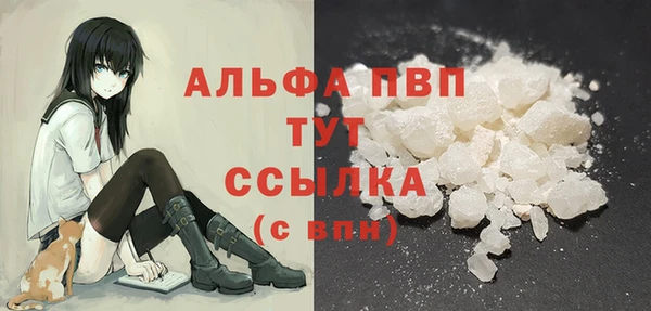 сатива Волосово