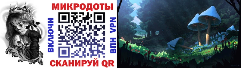 Купить закладки  Нягань  Галлюциногенные грибы Psilocybe 